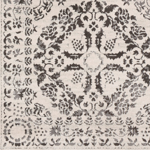 Image of Surya Bahar Traditional Medium Gray, Charcoal, Beige, Taupe Rugs BHR-2318