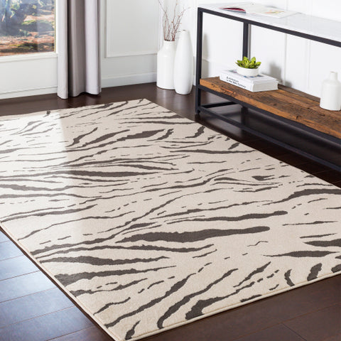 Image of Surya Bahar Modern Charcoal, Beige Rugs BHR-2319