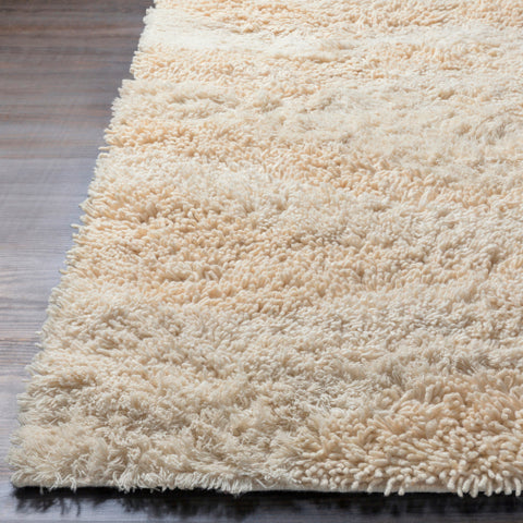 Image of Surya Berkley Modern Cream Rugs BRK-3300