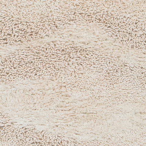 Image of Surya Berkley Modern Cream Rugs BRK-3300