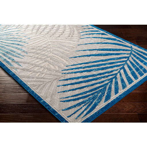 Surya Big Sur Coastal Dark Blue, Aqua, Taupe, Cream, Light Gray Rugs BSR-2312