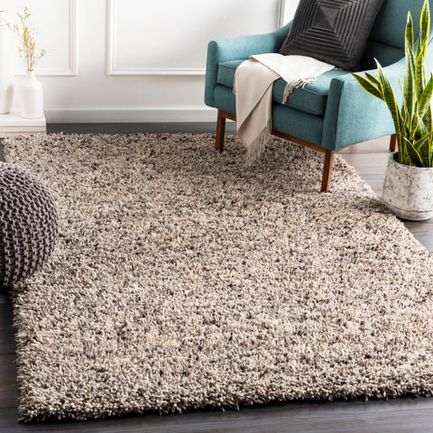 Image of Surya Bexley Modern Cream, Dark Brown Rugs BXL-1001