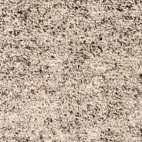 Image of Surya Bexley Modern Cream, Dark Brown Rugs BXL-1001