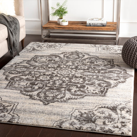 Image of Surya Baylee Traditional Black, Medium Gray, Silver Gray, Cream Rugs BYL-1030