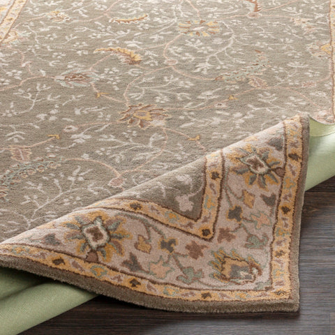 Image of Surya Caesar Traditional Medium Gray, Camel, Dark Brown, Sage, Charcoal, Khaki, Tan Rugs CAE-1093