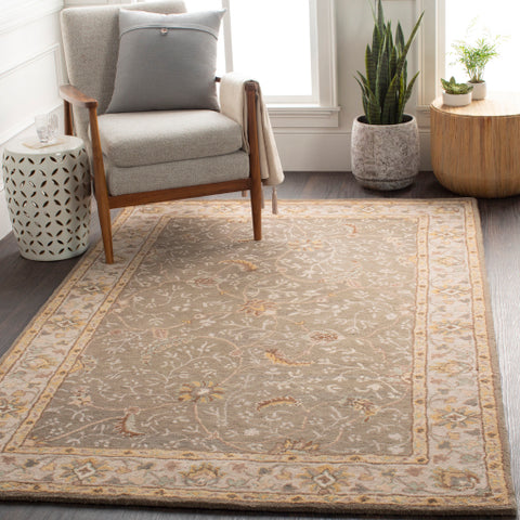 Image of Surya Caesar Traditional Medium Gray, Camel, Dark Brown, Sage, Charcoal, Khaki, Tan Rugs CAE-1093