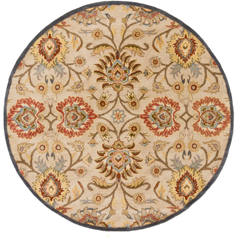Image of Surya Caesar Traditional Ivory, Denim, Brick, Khaki, Camel, Pale Blue, Burnt Orange, Dark Brown, Moss Rugs CAE-1116