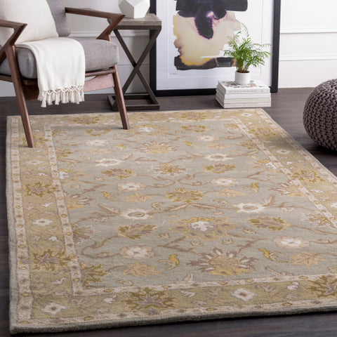 Image of Surya Caesar Traditional Medium Gray, Olive, Khaki, Camel, Cream, Ivory Rugs CAE-1126