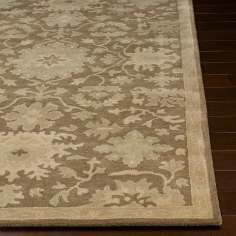 Image of Surya Caesar Traditional Camel, Medium Gray, Light Gray, Sage, Khaki Rugs CAE-1149