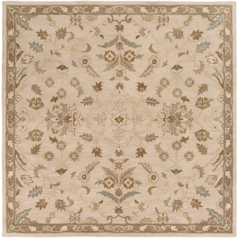 Image of Surya Caesar Traditional Khaki, Medium Gray, Light Gray, Camel, Sage, Dark Brown Rugs CAE-1152