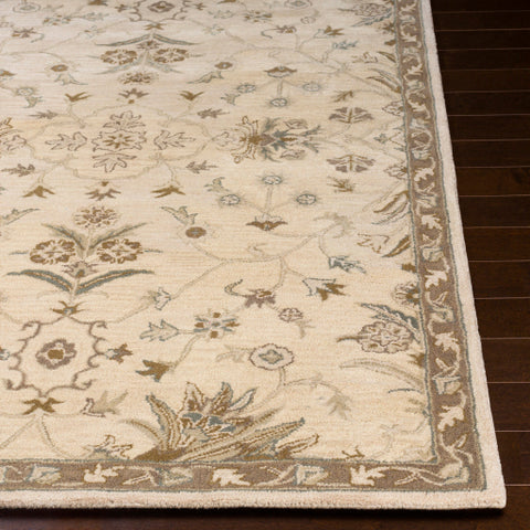 Image of Surya Caesar Traditional Khaki, Medium Gray, Light Gray, Camel, Sage, Dark Brown Rugs CAE-1152