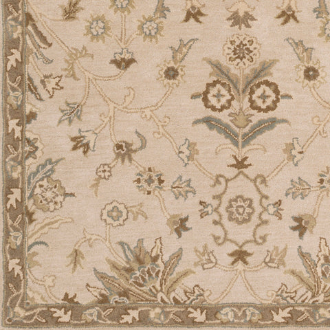 Image of Surya Caesar Traditional Khaki, Medium Gray, Light Gray, Camel, Sage, Dark Brown Rugs CAE-1152