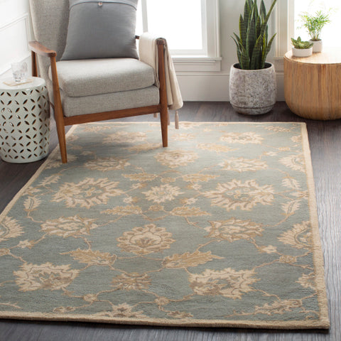 Image of Surya Caesar Traditional Medium Gray, Ivory, Olive, Tan Rugs CAE-1156