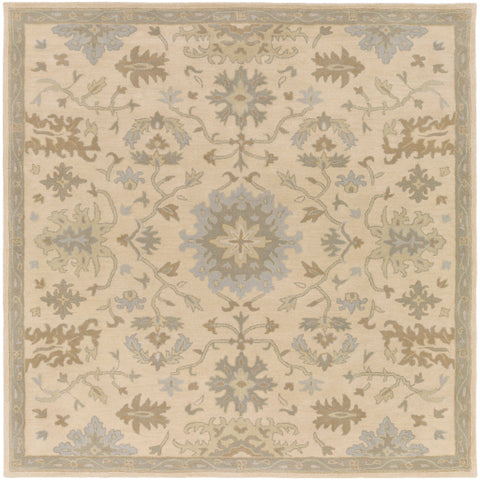 Image of Surya Caesar Traditional Beige, Sage, Light Gray, Olive, Tan Rugs CAE-1161