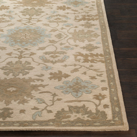 Image of Surya Caesar Traditional Beige, Sage, Light Gray, Olive, Tan Rugs CAE-1161