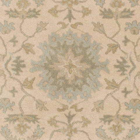 Image of Surya Caesar Traditional Beige, Sage, Light Gray, Olive, Tan Rugs CAE-1161