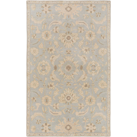 Image of Surya Caesar Traditional Light Gray, Beige, Olive, Camel, Khaki Rugs CAE-1162