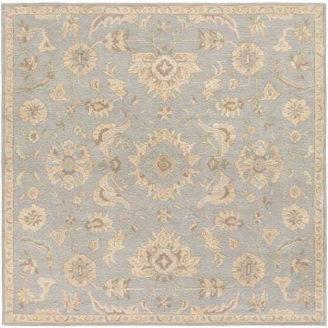 Image of Surya Caesar Traditional Light Gray, Beige, Olive, Camel, Khaki Rugs CAE-1162