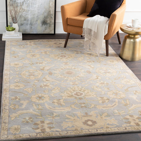 Image of Surya Caesar Traditional Light Gray, Beige, Olive, Camel, Khaki Rugs CAE-1162