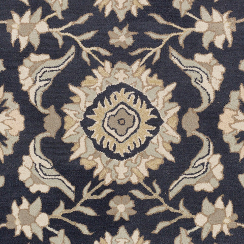 Image of Surya Caesar Traditional Ink, Beige, Sea Foam, Tan Rugs CAE-1164