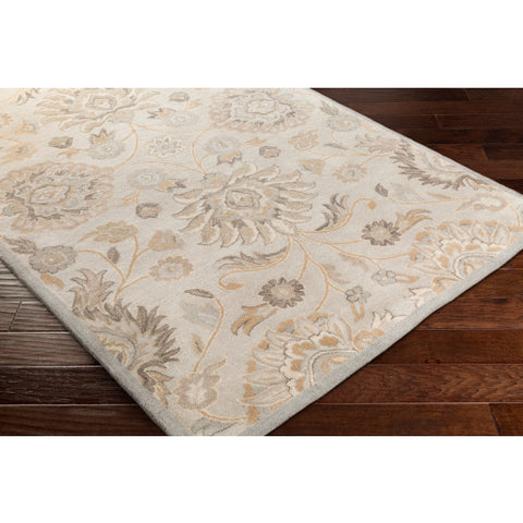 Image of Surya Caesar Traditional Light Gray, Khaki, Camel, Cream, Medium Gray Rugs CAE-1192