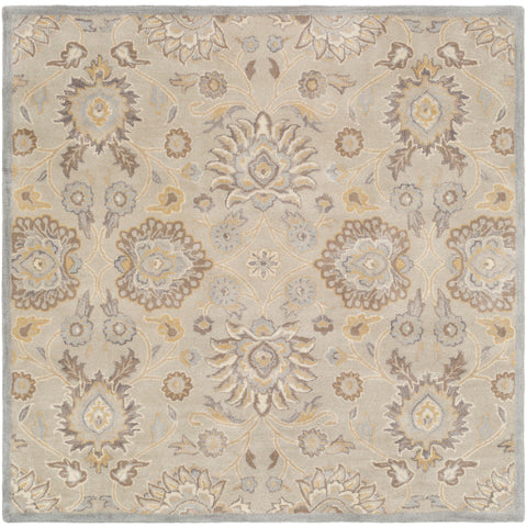 Image of Surya Caesar Traditional Light Gray, Khaki, Camel, Cream, Medium Gray Rugs CAE-1192