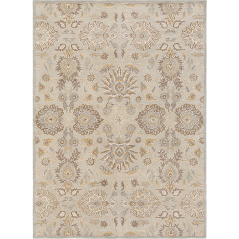 Image of Surya Caesar Traditional Light Gray, Khaki, Camel, Cream, Medium Gray Rugs CAE-1192