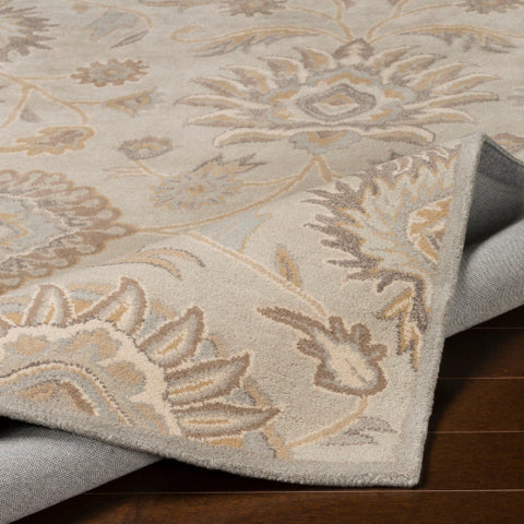 Image of Surya Caesar Traditional Light Gray, Khaki, Camel, Cream, Medium Gray Rugs CAE-1192