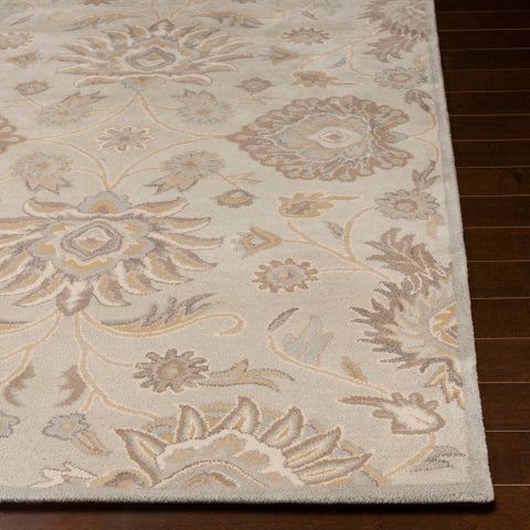 Image of Surya Caesar Traditional Light Gray, Khaki, Camel, Cream, Medium Gray Rugs CAE-1192