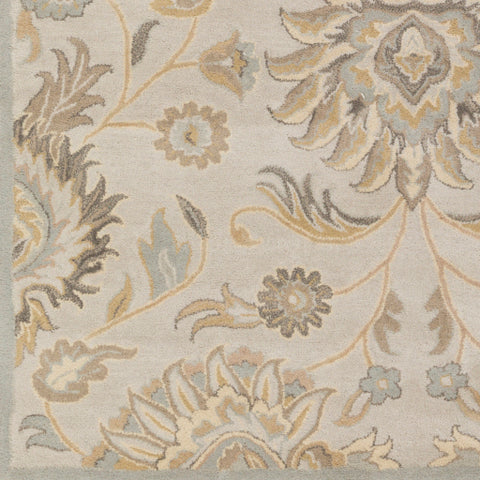 Image of Surya Caesar Traditional Light Gray, Khaki, Camel, Cream, Medium Gray Rugs CAE-1192