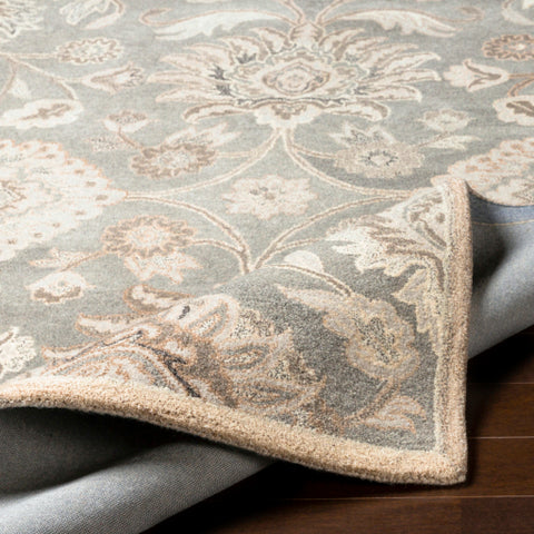 Image of Surya Caesar Traditional Taupe, Camel, Cream, Light Gray, Dark Brown Rugs CAE-1195