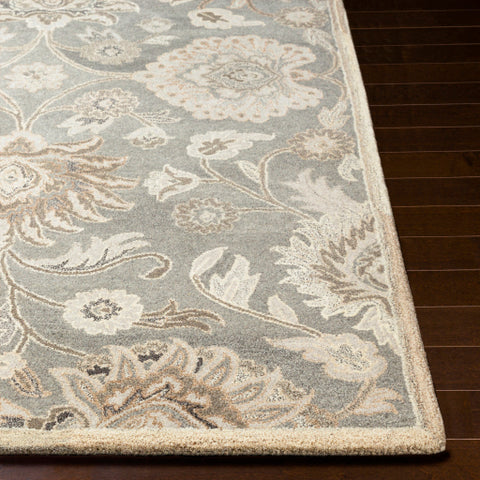 Image of Surya Caesar Traditional Taupe, Camel, Cream, Light Gray, Dark Brown Rugs CAE-1195