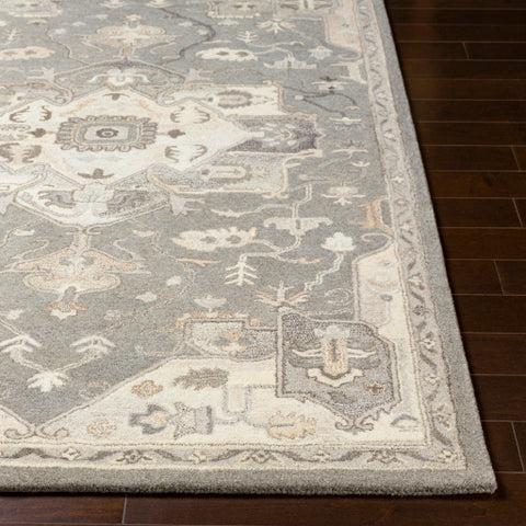 Image of Surya Caesar Traditional Charcoal, Taupe, Khaki, Black, Beige, Dark Brown, Camel Rugs CAE-1196