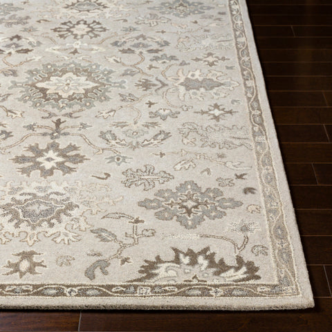 Image of Surya Caesar Traditional Taupe, Charcoal, Dark Brown, Beige, Black, Khaki, Camel Rugs CAE-1197