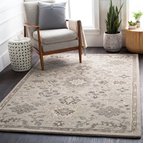 Image of Surya Caesar Traditional Taupe, Charcoal, Dark Brown, Beige, Black, Khaki, Camel Rugs CAE-1197