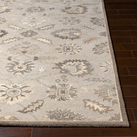 Image of Surya Caesar Traditional Taupe, Charcoal, Dark Brown, Beige, Black, Khaki, Camel Rugs CAE-1198