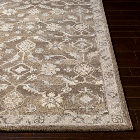 Image of Surya Caesar Traditional Dark Brown, Charcoal, Taupe, Khaki, Beige, Camel, Black Rugs CAE-1200