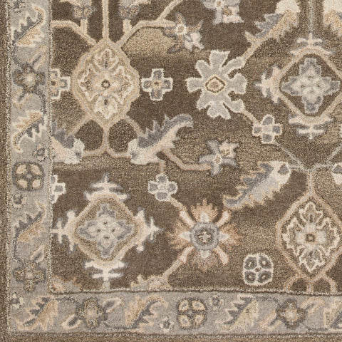 Image of Surya Caesar Traditional Dark Brown, Charcoal, Taupe, Khaki, Beige, Camel, Black Rugs CAE-1200