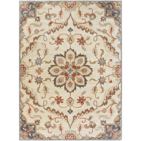 Image of Surya Caesar Traditional Rust, Denim, Tan, Sage, Khaki, Cream Rugs CAE-1206