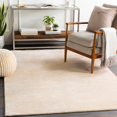 Image of Surya Capri Modern Khaki Rugs CAP-2303