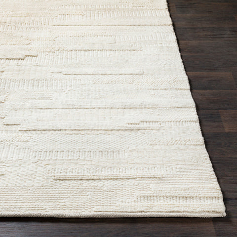 Image of Surya Cocoon Modern Beige Rugs CCN-1000