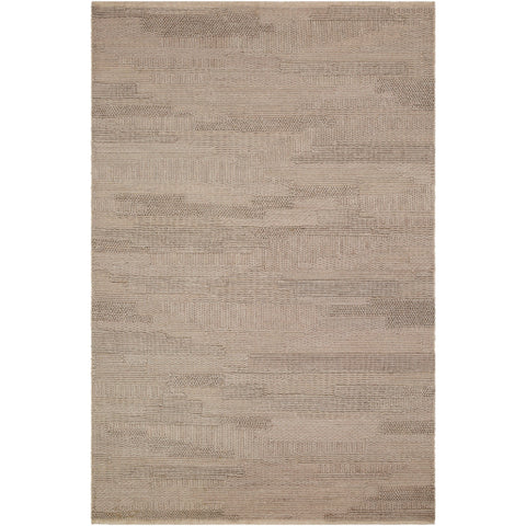 Image of Surya Cocoon Modern Taupe Rugs CCN-1002