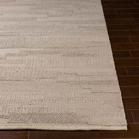 Image of Surya Cocoon Modern Taupe Rugs CCN-1002