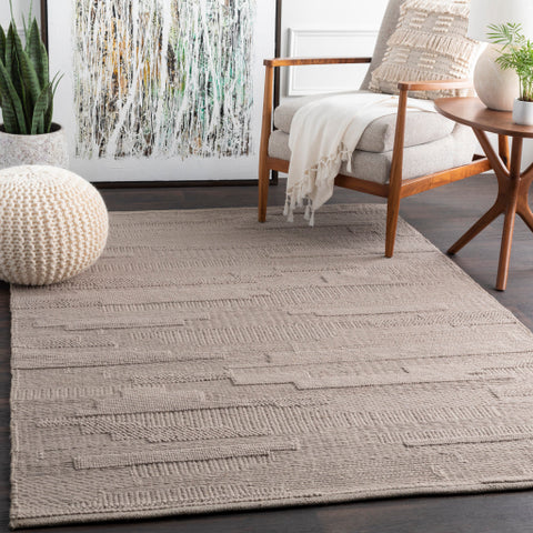 Image of Surya Cocoon Modern Taupe Rugs CCN-1002