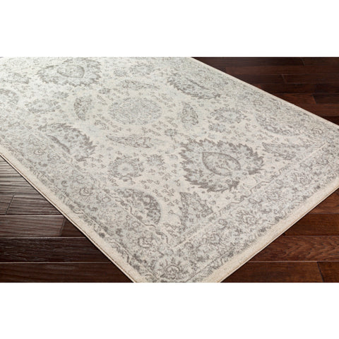 Image of Surya Chester Traditional Light Gray, Medium Gray, Khaki Rugs CHE-2300