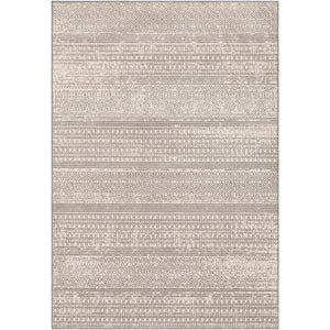 Surya Chester Global Medium Gray, Khaki Rugs CHE-2303