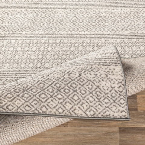 Image of Surya Chester Global Medium Gray, Khaki Rugs CHE-2303