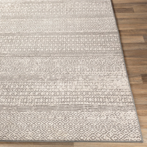 Image of Surya Chester Global Medium Gray, Khaki Rugs CHE-2303