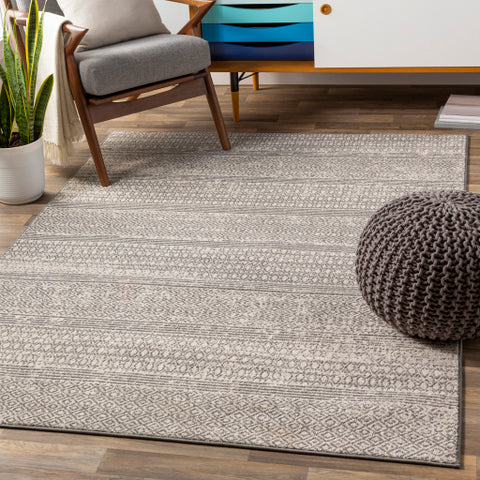 Image of Surya Chester Global Medium Gray, Khaki Rugs CHE-2303