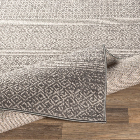 Image of Surya Chester Global Medium Gray, Khaki, Light Gray Rugs CHE-2304